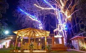 360 Bliss Dia Hotels